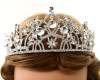 Silver Crystal Rhinestone Tiara (TU004)