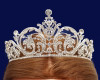 Silver Crystal Rhinestone Tiara  (TQ020)