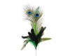 22"- 25" Apple Green Peacock Feather - Pack of 10 Picks