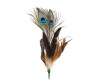 22"- 25 White Peacock Feather - Pack of 10 Picks