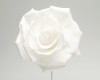 4" White Rose Foam Flowers - Pack of 12