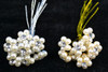 5/8" Pearl Rhinestone with Gold Stem Bouquet Jewelry - Pack of 100 Rhinestone Floral Picks