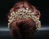 2.75" Gold Tiara with Clear Rhinestones 