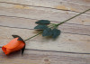 17" Orange Wooden Roses - Pack of 6