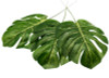 7 1/2"x 15 3/4" Green Artificial Monstera Leaf Floral Decoration - Pack of 12
