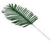 10 1/2"x 25 1/2" Green Large Artificial Palm Leaf for Floral Arrangements - Pack of 12