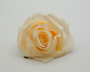 3 1/2" Ivory Single Short Stem Artificial Silk Bouquet Roses - Pack of 12