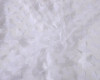 54"x 5 Yard White Sheer Tulle-Like 3D Butterfly Sewing Cloth