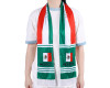 57.5" Long Double Sided Mexico Fan Sports Scarf - Pack of 6