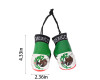 Mexico National Flag Mini Boxing Gloves Car Accessory - Pack of 6 Pairs