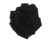 2.25" Black Velvet Ribbon Roses - Pack of 12