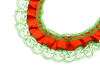 2" x 50 Yards Red-Emerald Green Ruffled Lace Trim