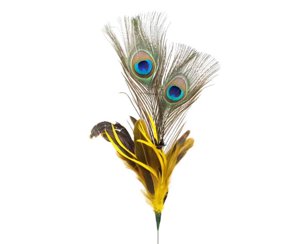 22 25 Yellow Peacock Feather Pack Of 10 Picks Cb Flowers