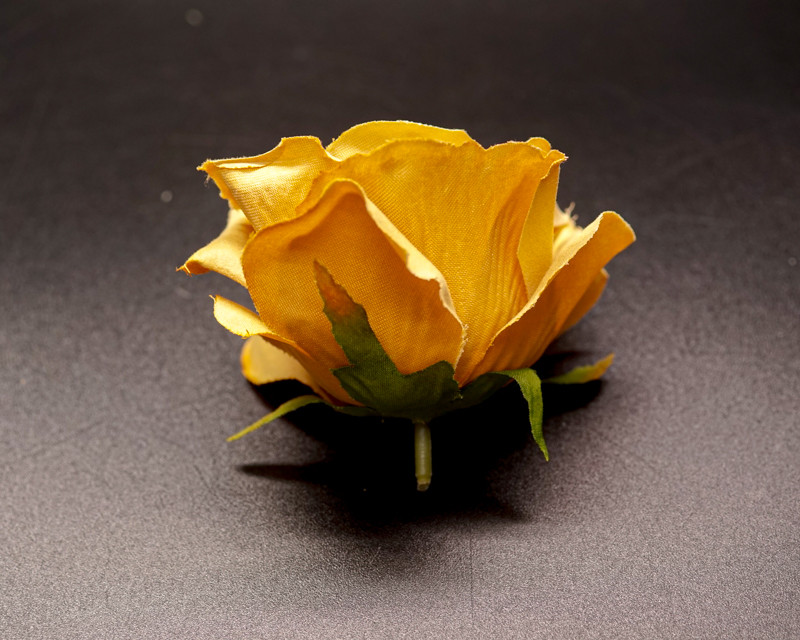 Cb Roses 4
