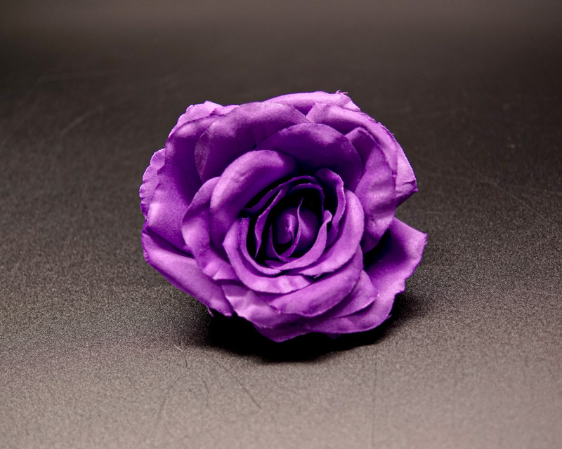Cb Roses 4