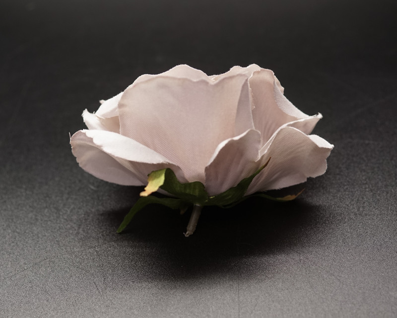 Cb Roses 4