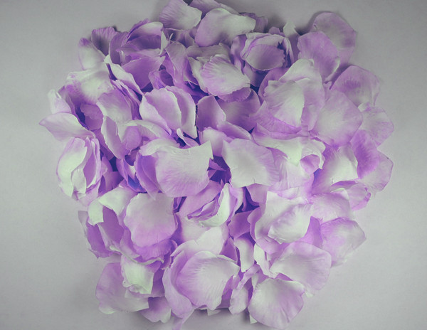 TINGE TIME Silk Flowers: 200pcs Rose Petals For Wedding, Decoration