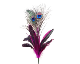 22"- 25" Fuchsia Peacock Feather - Pack of 10 Picks