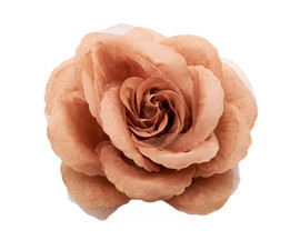 4.5" Tan Organza Silk Rose Flower - Pack of 12