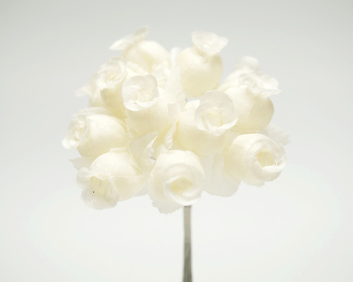 Ivory/Ivory Polyester Rose - Pack of 144