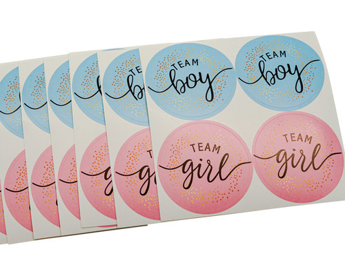 2" Pink and Blue Team Boy/Girl Gender Reveal Party Stickers - Pack of 48 Stickers