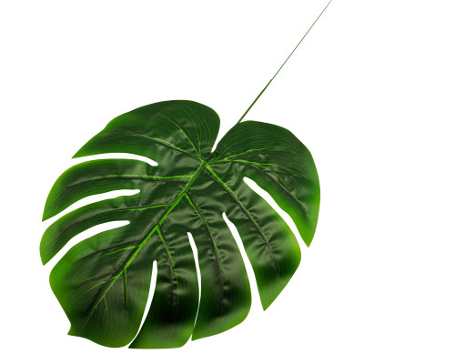 11"x 23" Green Large Artificial Monstera Leaf Floral Decoration - Pack of 12 11"x 23" Green Large Artificial Monstera Leaf Floral Decoration - Pack of 12