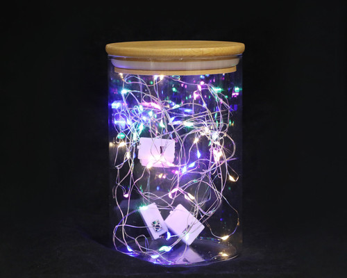 Rainbow Light Battery Operated LED Wired Fairy Lights - Pack of 12