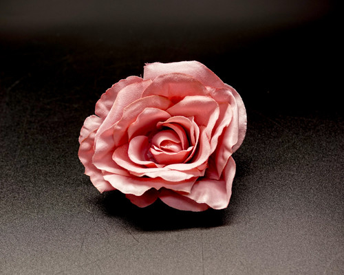 Cb Roses 4