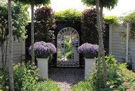 How to Use Mirrors in Your Garden