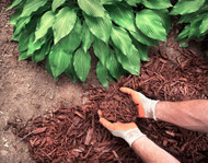Why Use Mulch?