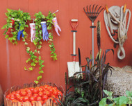 Outdoor Storage Solutions