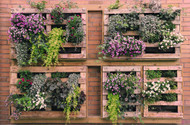 Vertical Gardens Vertical Gardens