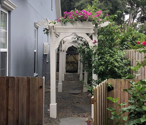 4x40 cedar pergola kit climbing bougainvillea vines Winter Park, FL