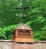 Cupola on Hip Roof, Manassas, Viriginia Cupola on Hip Roof, Manassas, Viriginia
