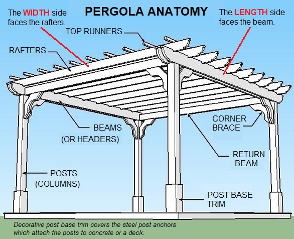 Pergola anatomy