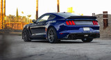 15-17 Ford Mustang Stoßstangenansatz - Diffusor Carbon GT350 Style Hinten