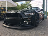 15-17 Ford Mustang (2.3, 5.0) Spoilerschwert - Cervinis - C-Series - Vorne Vorne