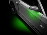 13-14 Ford Mustang Umfeldbeleuchtung (38029262)
