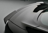 15-23 Ford Mustang (2.3, 5.0) ROUSH Heckspoiler, Silber Hinten