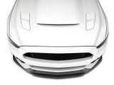 15-17 Ford Mustang Spoilerschwert Vorne (52670863)