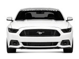 15-17 Ford Mustang Spoilerschwert Vorne