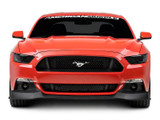 15-17 Ford Mustang Spoilerschwert - RTR Mustang Vorne