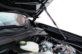 15-20 Ford Mustang Haubenlift - Quick LIFT PLUS - Schwarz Pulverbeschichtet - GT350 & GT350R