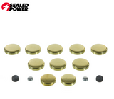 06-09 Ford Mustang (4.6) Froststopfen Set