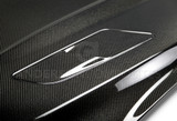 15-17 Ford Mustang Motorhaube - OE Style, Carbon