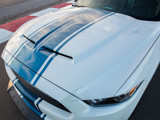 15-17 Ford Mustang Motorhaube - Shelby Super Snake - Polycarbonat - mit Luftauslass