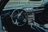 15-23 Ford Mustang Zierelement Armaturenbrett - Carbon - Ohne Instrumente in Amaturenbrett - Set