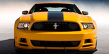 13-14 Ford Mustang Rahmen Kühlergrill - BOSS 302