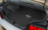 15-23 Ford Mustang (Convertible/Coupe) Kofferraummatte - Snake GT 500 Late