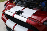 10-14 Ford Mustang Shelby GT500 Abdeckung Kühlerträger - Schwarz ohne Streifen (UA)